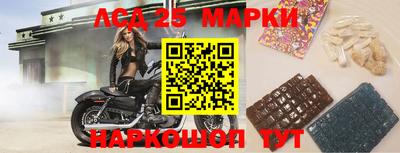 шишки Малоярославец