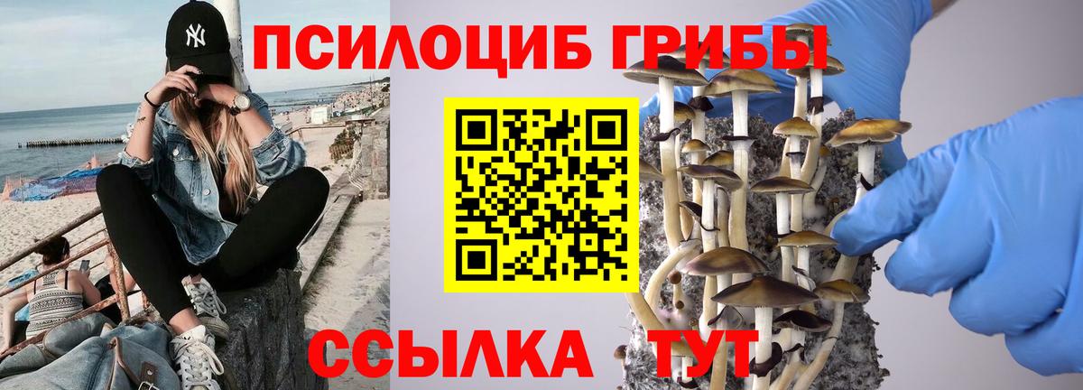 Долгопрудный  Галлюциногенные грибы прущие грибы  даркнет сайт  Вход с VPN 