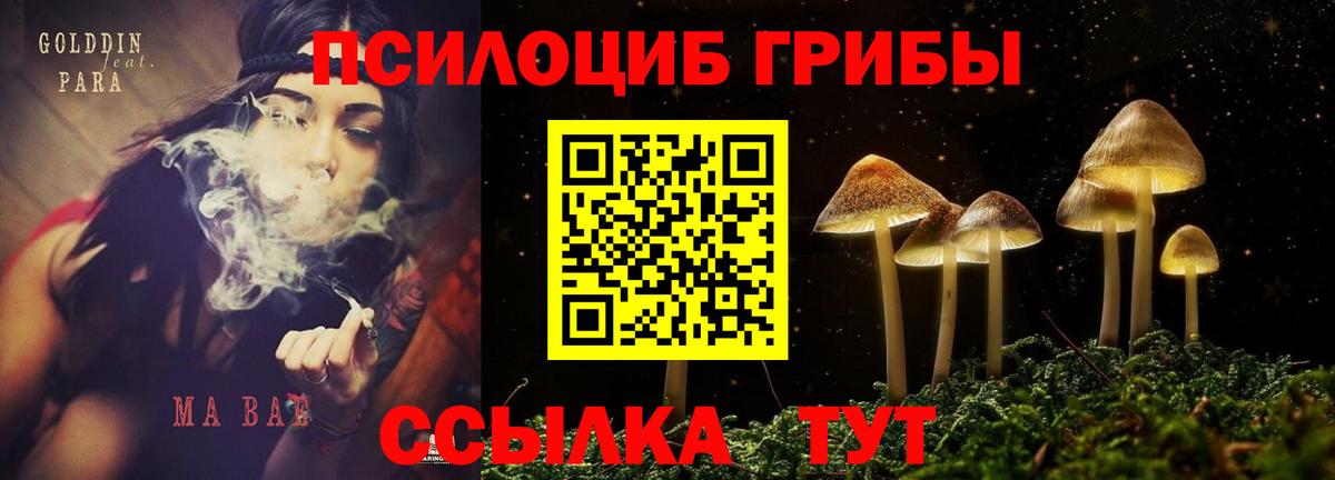 Галлюциногенные грибы мухоморы Долгопрудный