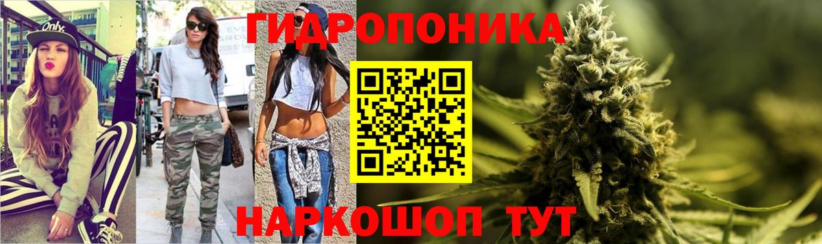 Каннабис сатива Долгопрудный